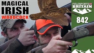 Fieldsports Britain – Magical Irish Woodcock
