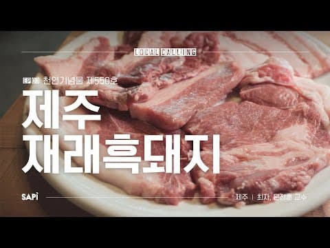 소고기 육색과 마블링의 '진짜' 오리지널 흑돼지  | 로컬콜링 Ep.03 제주 재래흑돼지 W/문정훈 교수