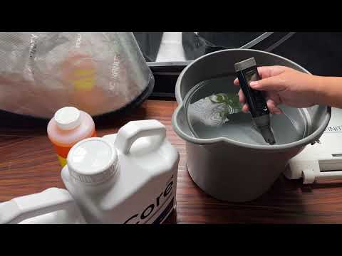 How To Use Tap Water And Liquid Nutrients To Feed Cannabis Plants | #shortvlog 3