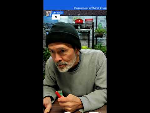 Tgif Who Will Win Some Seeds?