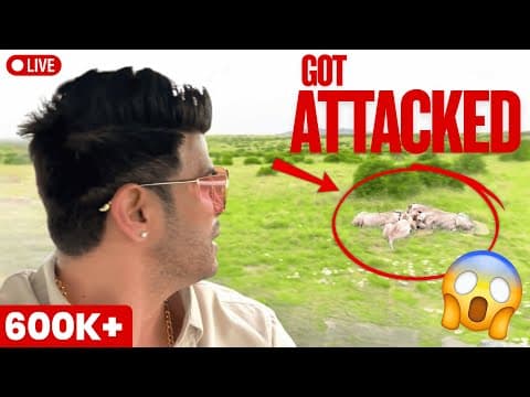 Close Call With Wild Lions 😱 | Heart-stopping Safari - Sahil Khan