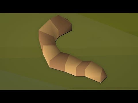 Worm