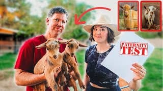 The Dna Results Are Back! Who's The Daddy? 👀