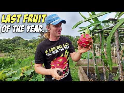 Karaoke Golfing Farming Repairing Diving Eating & New Solar - Life In The Philippines!