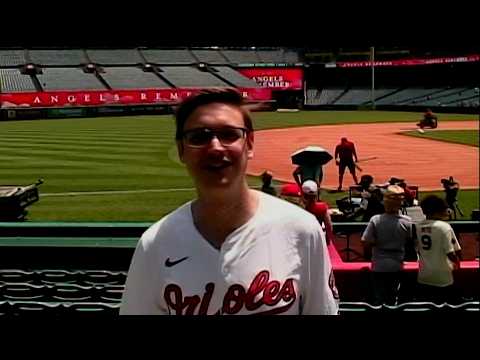 What Has Bro Been Doing