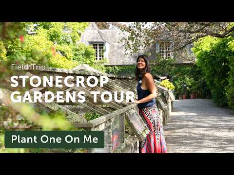 Inside Stonecrop Gardens: A Hidden Gem In The Hudson Valley — ep. 435