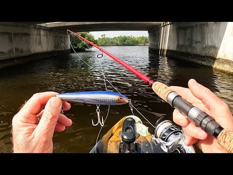 Florida Topwater Trophy Hunt - Cold Weather - Big Fish!