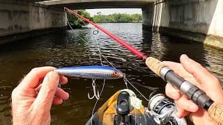 Florida Topwater Trophy Hunt - Cold Weather - Big Fish!