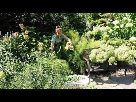 Planting Cut Flowers For Fall, Drying Hydrangeas For Christmas Trees, Upcoming Garden Renovations