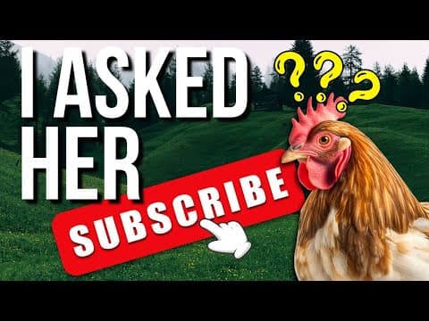 Why You Are Not Gaining Subscribers On Youtube