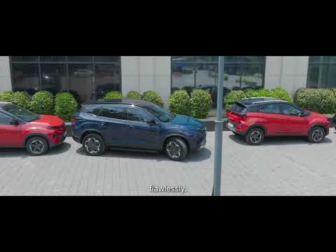 Step-by-step Guide To Auto Park Assist | Harrier.ev