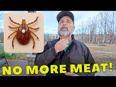 Tick Bite (lonestar) Changed My Life | Meat Allergy Living With Alpha Gal Syndrome