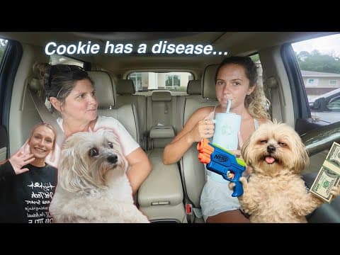 Cookie Goes To The Vet!