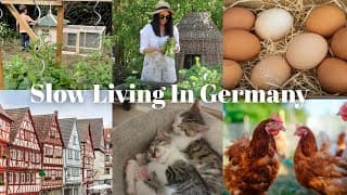 Germany Wasn't What I Had Imagined 🇩🇪 The Unexpected Reality Of My German Life As A New Zealander