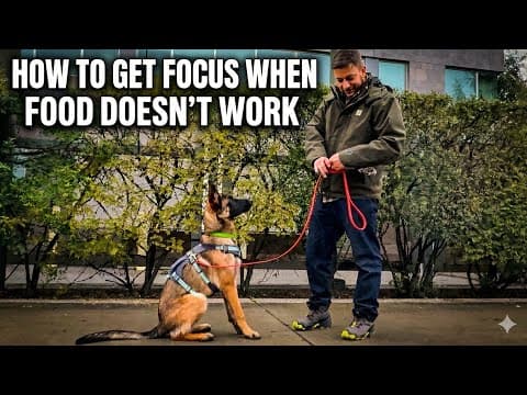 Try This When Treats Don’t Work!