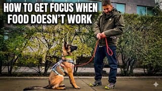 Try This When Treats Don’t Work!