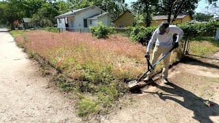 She Can’t Believe The City Hasn’t Posted A Notice On The Door Yet