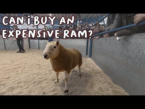 We Bid £3,400 For A Ram At Auction!
