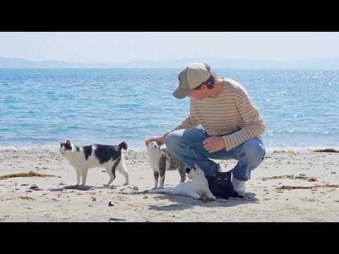 Exploring Japan's 'cat Islands'