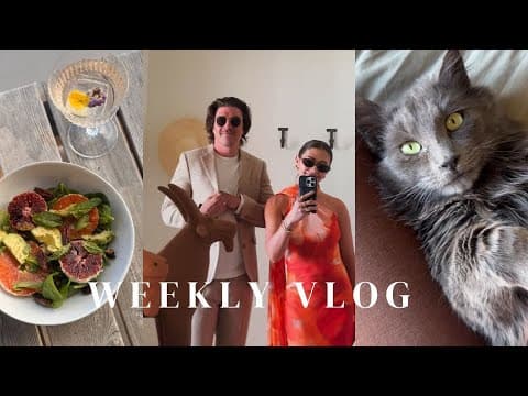Fostering A Cat, Recipes & Our Trip To Punta Mita