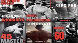 Every Neversate Program Ranked & Explained (which One Is Right For You)