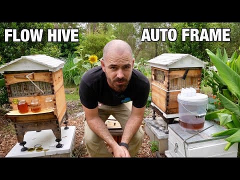 First Flow Hive Harvest Live Comparison To Traditional And Autoframe