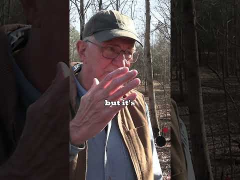 What's Going On With The Channel?