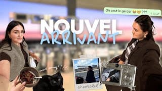 Un Nouvel Arrivant !!!