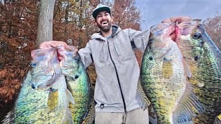 This Is Unbelievable... I Found The Massive Slabs Living In This Swampy Lake