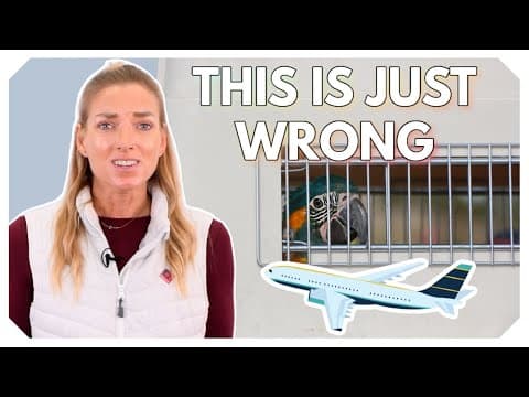 Parrots Deserve Better: Help Us Fix Airline Rules