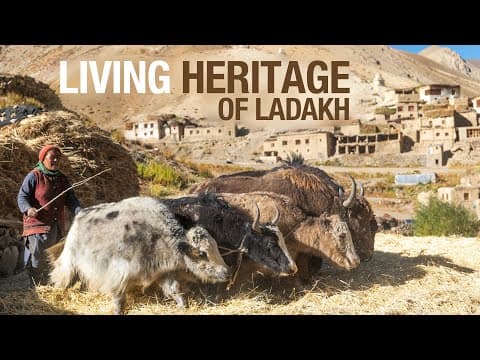 Zanskar Is Modernizing Fast.. So I'm Documenting Its Traditions Before They Are Lost Forever