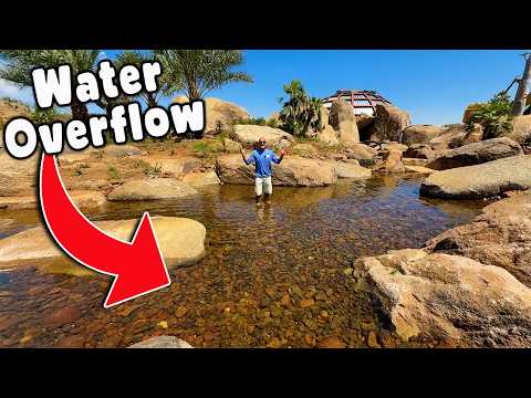 Beautiful Wetland For The African Pond Build