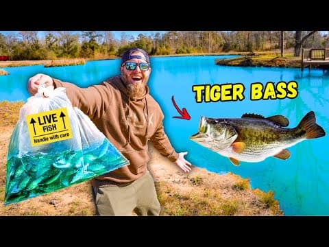 I Stocked Genetically-modified Bass In My New 3-acre Pond!