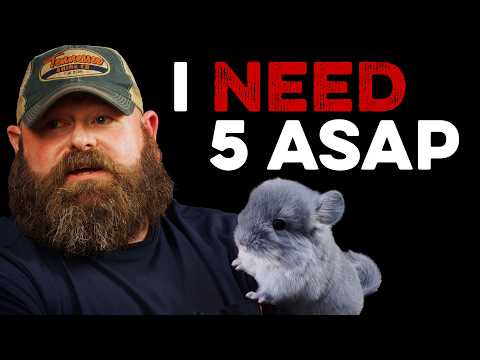 Petsmart Should Award Her Employee Of The Month!