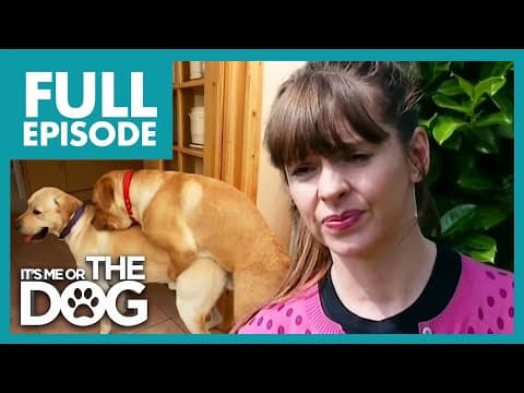 Two Humping Dogs Are Ruining Family Life | Full Episode | It's Me Or The Dog