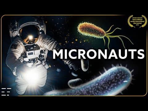 Micronauts - The Beauty Of Bacteria |  Full Award Winning Documentary 4k