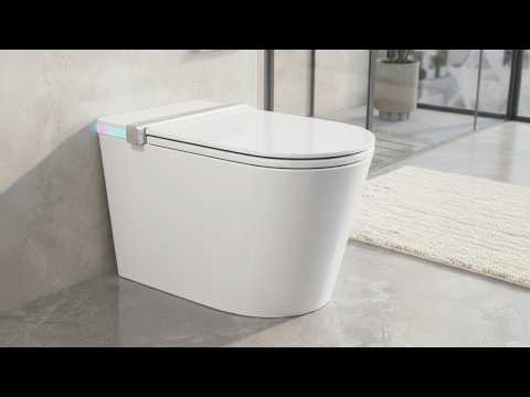 Is This The Best Smart Toilet? Deervalley Dv_1s0360-v3 Review