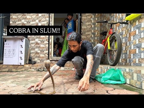 Mumbai Ki Slum Mein Ghusa Cobra – Dekho Kya Hua Baad Mein!!