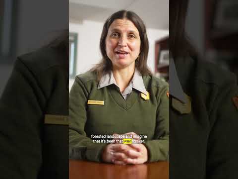 How the Smoky Mountains show the link between land and identity #shorts