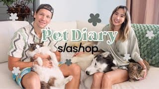 Christmas Home Decorating With A Husky & 2 Cats, Ft. Slashop! 🎄 Pet Diary #6 | Yb Chang Biste