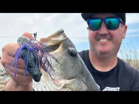 These Will Replace Hollow Body Frogs!