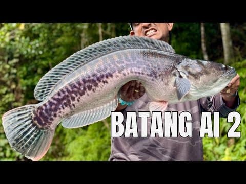 Batang Ai 2 Blindcasting Heaven