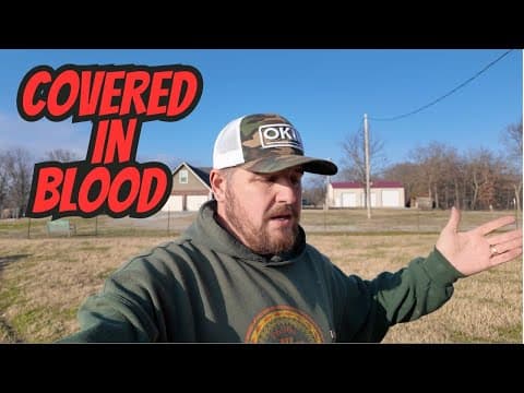 I Found Them Like This - I Couldn't Believe He Attacked Them