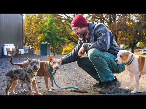 Meeting 3 Very Unique Rescue Dogs