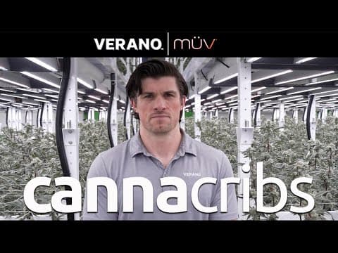 Built By Legacy Growers: Inside Verano’s 240k Sq. Ft. Mega Cannabis Grow