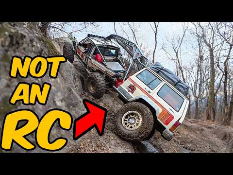 So Easy This Should Be A Crime - The "silly Goose" With Steering Is Cheating At Off-road!