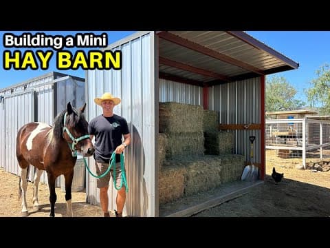 Building A Mini Hay Barn & Project Updates