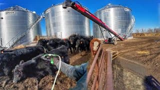 Speed Running 200+ Hd And Trying New Conveyor