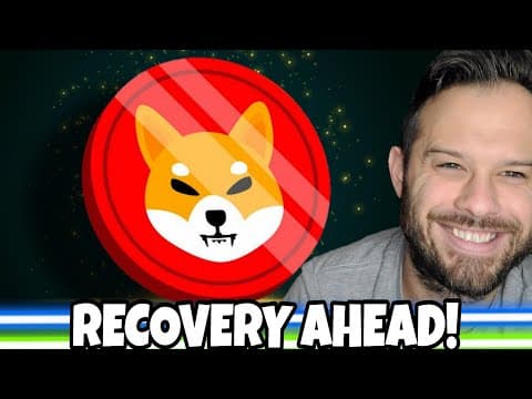 Shiba Inu Coin | Shib Shows Signs Of A Recovery As Exchange Outflows Increase!