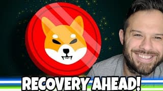 Shiba Inu Coin | Shib Shows Signs Of A Recovery As Exchange Outflows Increase!